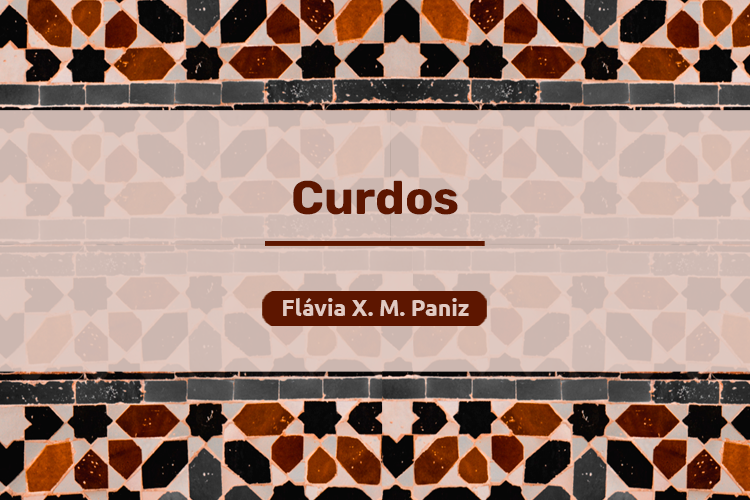 Série de verbetes informativos sobre os árabes: Curdos, por Flávia X. M. Paniz